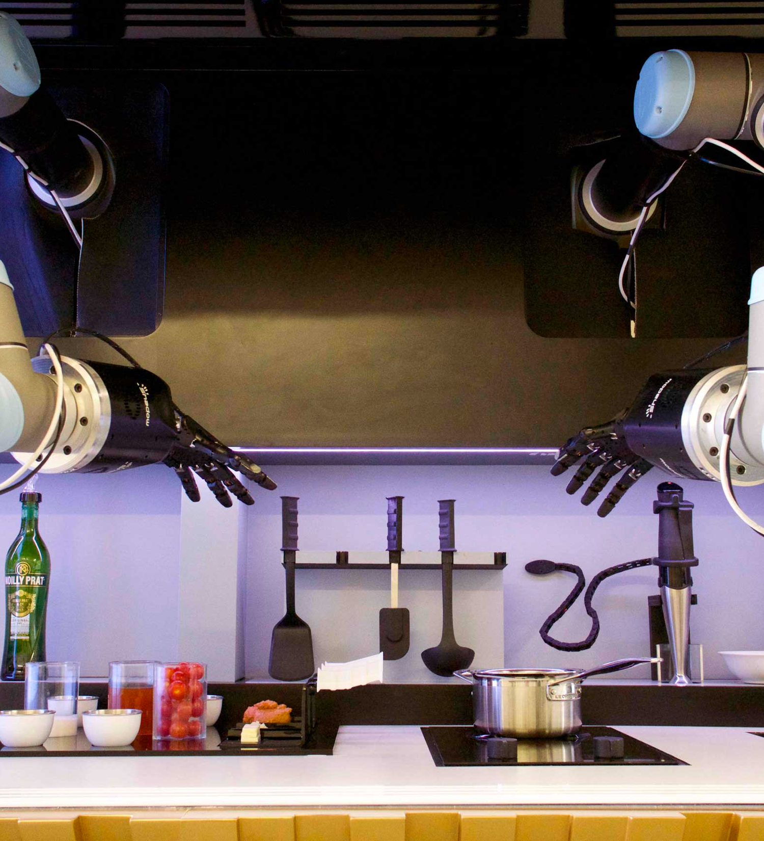 Robot cooking in the kitchen